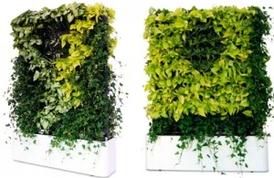 Công Ty TNHH Sân Vườn Thế Hệ Mới