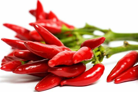 Nông Sản Trần Phạm Gia – Công Ty TNHH Trần Phạm Gia