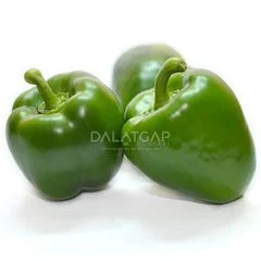 Công Ty TNHH Thực Phẩm Sạch Đà Lạt G.A.P