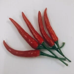 Nông Sản Bavina – Công Ty TNHH Bavina