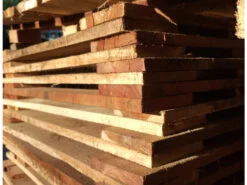 Pallet Gỗ Thiên Phú Lâm – Công Ty TNHH Sản Xuất Thương Mại Thiên Phú Lâm