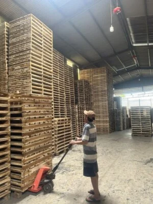 Pallet Gỗ Vũ Ngọc – Công Ty TNHH Vũ Ngọc