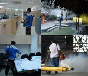 Diệt Mối HPH – Công Ty TNHH MTV Diệt Mối HPH
