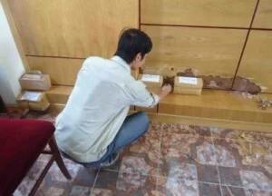 Công Ty TNHH Thương Mại Và Dịch Vụ TES Việt Nam