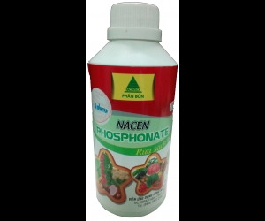 Công Ty TNHH Sản Xuất Thương Mại Hoàng Thái Nông