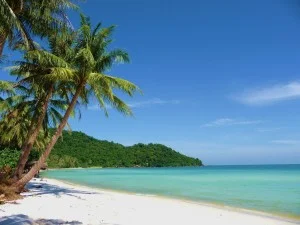 Công Ty TNHH Du Lịch Thương Mại Tân Đại Lục