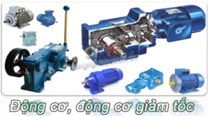 Phụ Kiện Đường ống XinFengDa – Công Ty TNHH Thiết Bị Đường ống XinFengDa