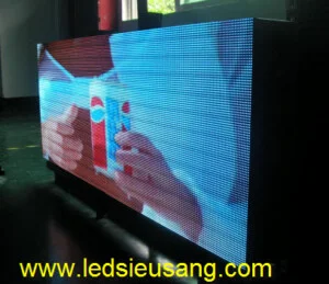 Công Ty TNHH Sĩ Nguyễn