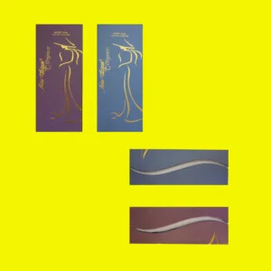 Bao Bì Tân Hiệp Mỹ – Công Ty TNHH Bao Bì Tân Hiệp Mỹ