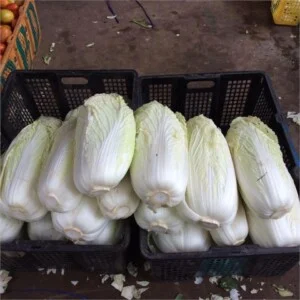 Nông Sản Rau Củ Bình Dương – Công Ty TNHH MTV Cánh Đồng Xanh