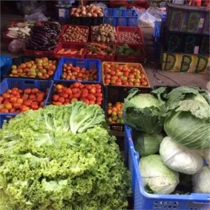 Nông Sản Rau Củ Bình Dương – Công Ty TNHH MTV Cánh Đồng Xanh