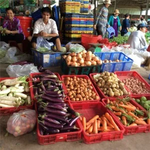 Nông Sản Rau Củ Bình Dương – Công Ty TNHH MTV Cánh Đồng Xanh