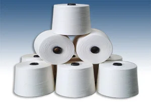 Công Ty Cổ Phần Dệt May Huế