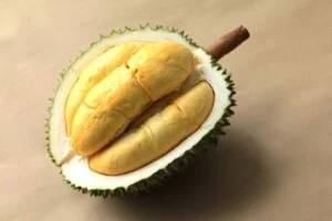 Nông Sản Bavina – Công Ty TNHH Bavina