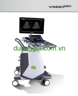 Công Ty TNHH Thương Mại Dương Gia