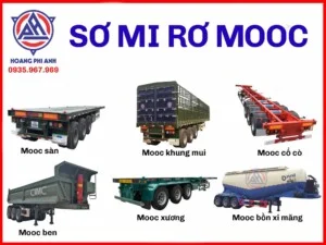 Công Ty TNHH XNK Hoàng Phi Anh