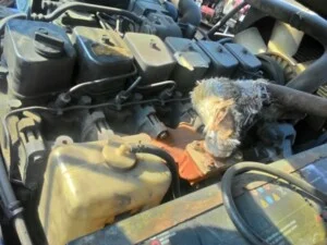 Công Ty TNHH Lumber Link