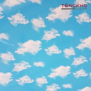 Công Ty TNHH Thương Mại XNK Phú Quốc