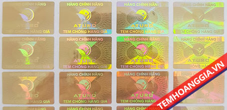 Chi Nhánh – Công Ty Cổ Phần Giải Pháp Đóng Gói Hoàng Gia