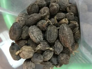 Công Ty Cổ Phần Xuất Nhập Khẩu AC Việt Nam