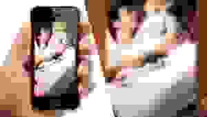 Công Ty TNHH Cung Cấp Thông Tin Đại Việt