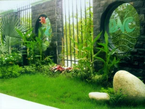 DNGreen – Công Ty Cổ Phần Điểm Nhấn Xanh