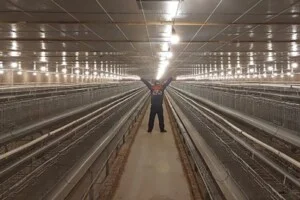 Thiết Kế Thi Công Hệ Thống Thông Gió Làm Mát Trang Trại – Công Ty Cổ Phần Sản Xuất – Thương Mại Cơ Khí – Nhựa Trường Thành