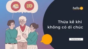 Hello Law – Văn Phòng Luật Sư Đà Nẵng