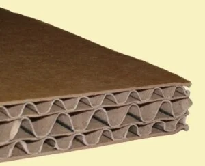 Bao Bì Công Nghệ Thuận Phát – Công Ty Cổ Phần Bao Bì Công Nghệ Thuận Phát