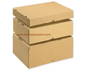 Bao Bì Công Nghệ Thuận Phát – Công Ty Cổ Phần Bao Bì Công Nghệ Thuận Phát