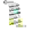 Công Ty TNHH TMDV Long Co