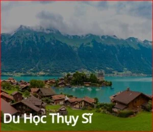 Tư Vấn Du Học VNPC – Công Ty Cổ Phần Tư Vấn Chuyên Nghiệp Việt Nam