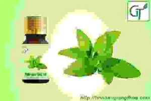 Công Ty TNHH Thương Mại Và Dịch Vụ Vietbeauty