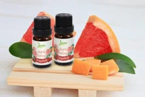 Công Ty TNHH Một Thành Viên Xuất Nhập Khẩu – Thương Mại – Dịch Vụ Hi Ta