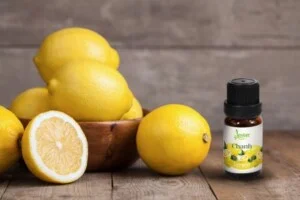 Công Ty TNHH Một Thành Viên Xuất Nhập Khẩu – Thương Mại – Dịch Vụ Hi Ta