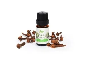 Công Ty TNHH Một Thành Viên Xuất Nhập Khẩu – Thương Mại – Dịch Vụ Hi Ta