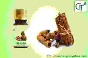 Công Ty TNHH Thương Mại Và Dịch Vụ Vietbeauty