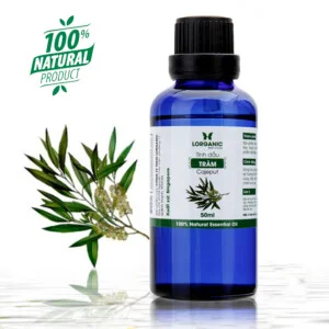 Tinh Dầu Hữu Cơ Lorganic – Công Ty TNHH Lorganic