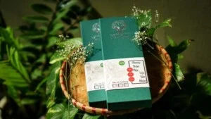 Nhang Thảo Mộc Đồng Nai – Công Ty TNHH Thương Mại Dịch Vụ VFARM