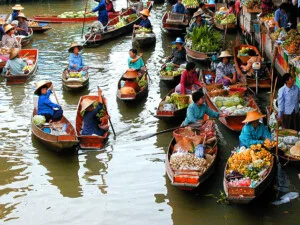 Công Ty TNHH Du Lịch Phúc Phát