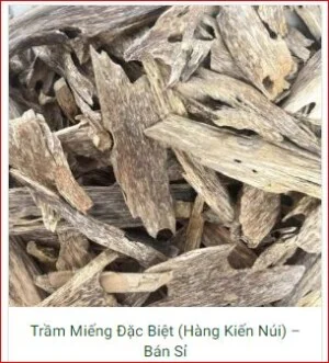 Công Ty TNHH Sản Xuất – Thương Mại Và Dịch Vụ Châu Thông