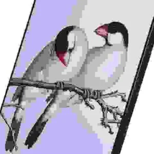 Công Ty TNHH Thương Mại XNK Phú Quốc