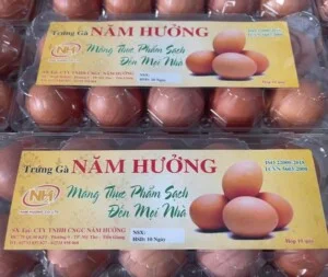 Trại Gà Năm Hưởng – Công Ty Trách Nhiệm Hữu Hạn Chăn Nuôi Gia Cầm Năm Hưởng