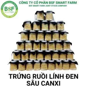 Công Ty Cổ Phần BSF Smart Farm