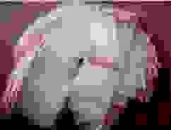 Công Ty TNHH Hiển Long Việt Nam