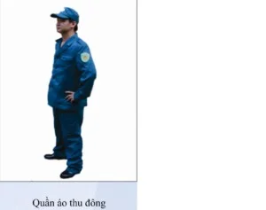 Công Ty Cổ Phần VINAINCOM