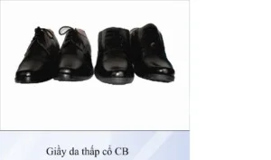 Công Ty Cổ Phần VINAINCOM