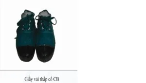 Công Ty Cổ Phần VINAINCOM