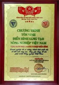 Phân Bón Phước Hưng – Công Ty TNHH Thương Mại – Sản Xuất Phước Hưng