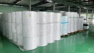 Vải Không Dệt Thuận Đức ECO – Công Ty Cổ Phần Thuận Đức ECO